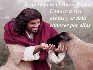 Jesucristo es el Buen Pastor
Conoce a sus
ovejas y se deja
conocer por ellas
 