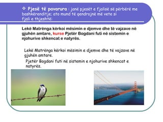 Fjalia e përbërë PPT