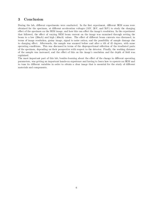 Scanning Electron Microscope Lab Report