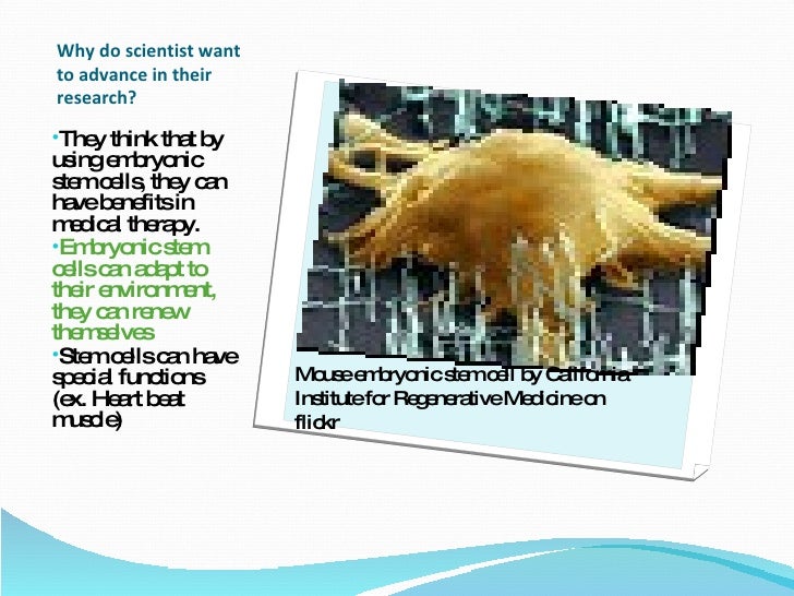 the benefits and the controversies of stem cell research All stem cell research involving human subjects, including research in which embryos are donated for the derivation of stem cell benefits of stem cell research. the benefits and the controversies of stem cell research All stem cell research involving human subjects, including research in which embryos are donated for the derivation of stem cell benefits of stem cell research.