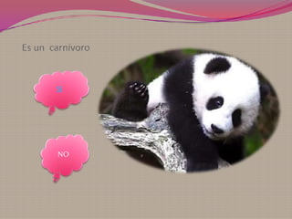 Es un carnívoro


       SI




       NO
 