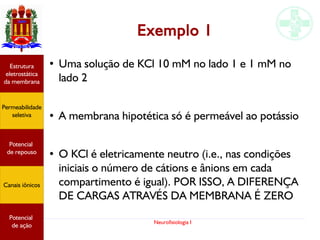 Neurofisiologia I
Exemplo 1
●
Uma solução de KCl 10 mM no lado 1 e 1 mM no
lado 2
●
A membrana hipotética só é permeável ao potássio
●
O KCl é eletricamente neutro (i.e., nas condições
iniciais o número de cátions e ânions em cada
compartimento é igual). POR ISSO, A DIFERENÇA
DE CARGAS ATRAVÉS DA MEMBRANA É ZERO
Potencial
graduado
Permeabilidade
seletiva
Estrutura
eletrostática
da membrana
Potencial
de ação
Potencial
graduado
Permeabilidade
seletiva
Estrutura
eletrostática
da membrana
Potencial
de ação
Potencial
graduado
Permeabilidade
seletiva
Estrutura
eletrostática
da membrana
Potencial
de ação
Potencial
de repouso
Canais iônicos
Permeabilidade
seletiva
Estrutura
eletrostática
da membrana
Potencial
de ação
Potencial
de repouso
Canais iônicos
 