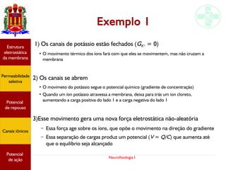 Neurofisiologia I
Exemplo 1
1) Os canais de potássio estão fechados (GK+ = 0)
●
O movimento térmico dos íons fará com que eles se movimentem, mas não cruzam a
membrana
2) Os canais se abrem
●
O movimeto do potássio segue o potencial químico (gradiente de concentração)
●
Quando um íon potássio atravessa a membrana, deixa para trás um íon cloreto,
aumentando a carga positiva do lado 1 e a carga negativa do lado 1
3)Esse movimento gera uma nova força eletrostática não-aleatória
– Essa força age sobre os íons, que opõe o movimento na direção do gradiente
– Essa separação de cargas produz um potencial (V = Q/C) que aumenta até
que o equilíbrio seja alcançado
Potencial
graduado
Permeabilidade
seletiva
Estrutura
eletrostática
da membrana
Potencial
de ação
Potencial
graduado
Permeabilidade
seletiva
Estrutura
eletrostática
da membrana
Potencial
de ação
Potencial
graduado
Permeabilidade
seletiva
Estrutura
eletrostática
da membrana
Potencial
de ação
Potencial
de repouso
Canais iônicos
Permeabilidade
seletiva
Estrutura
eletrostática
da membrana
Potencial
de ação
Potencial
de repouso
Canais iônicos
 
