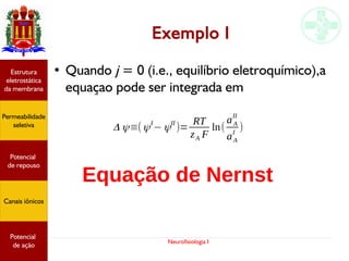 Neurofisiologia I
Exemplo I
● Quando j = 0 (i.e., equilíbrio eletroquímico),a
equaçao pode ser integrada em
Potencial
graduado
Permeabilidade
seletiva
Estrutura
eletrostática
da membrana
Potencial
de ação
Δ ψ≡(ψI
−ψII
)=
RT
zA F
ln(
aA
II
aA
I
)
Equação de NernstPotencial
graduado
Permeabilidade
seletiva
Estrutura
eletrostática
da membrana
Potencial
de ação
Potencial
graduado
Permeabilidade
seletiva
Estrutura
eletrostática
da membrana
Potencial
de ação
Potencial
de repouso
Canais iônicos
Permeabilidade
seletiva
Estrutura
eletrostática
da membrana
Potencial
de ação
Potencial
de repouso
Canais iônicos
 