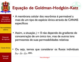 Neurofisiologia I
Equação de Goldman-Hodgkin-Katz
●
A membrana celular dos neurônios é permeável a
mais de um tipo de espécie iônica através de CANAIS
específicos
●
Assim, a situação j = 0 não depende do gradiente de
concentração de um único íon, mas de outros íons
permeantes de suas permeabilidades relativas
●
Ou seja, temos que considerar os fluxos individuais
jNa+, jK+, jCl-, etc.
Potencial
graduado
Permeabilidade
seletiva
Estrutura
eletrostática
da membrana
Potencial
de ação
Potencial
graduado
Permeabilidade
seletiva
Estrutura
eletrostática
da membrana
Potencial
de ação
Potencial
graduado
Permeabilidade
seletiva
Estrutura
eletrostática
da membrana
Potencial
de ação
Potencial
de repouso
Canais iônicos
Permeabilidade
seletiva
Estrutura
eletrostática
da membrana
Potencial
de ação
Potencial
de repouso
Canais iônicos
 