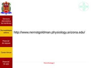 Neurofisiologia I
http://www.nernstgoldman.physiology.arizona.edu/
Potencial
graduado
Permeabilidade
seletiva
Estrutura
eletrostática
da membrana
Potencial
de ação
Potencial
graduado
Permeabilidade
seletiva
Estrutura
eletrostática
da membrana
Potencial
de ação
Potencial
graduado
Permeabilidade
seletiva
Estrutura
eletrostática
da membrana
Potencial
de ação
Potencial
graduado
Permeabilidade
seletiva
Estrutura
eletrostática
da membrana
Potencial
de ação
Potencial
de repouso
Canais iônicos
Permeabilidade
seletiva
Estrutura
eletrostática
da membrana
Potencial
de ação
Potencial
de repouso
Canais iônicos
 