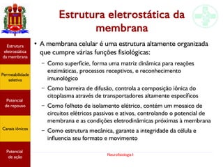 Neurofisiologia I
Estrutura eletrostática da
membrana
Potencial
graduado
Permeabilidade
seletiva
Estrutura
eletrostática
da membrana
Potencial
de ação
●
A membrana celular é uma estrutura altamente organizada
que cumpre várias funções fisiológicas:
– Como superfície, forma uma matriz dinâmica para reações
enzimáticas, processos receptivos, e reconhecimento
imunológico
– Como barreira de difusão, controla a composição iônica do
citoplasma através de transportadores altamente específicos
– Como folheto de isolamento elétrico, contém um mosaico de
circuitos elétricos passivos e ativos, controlando o potencial de
membrana e as condições eletrodinâmicas próximas à membrana
– Como estrutura mecânica, garante a integridade da célula e
influencia seu formato e movimento
Potencial
de repouso
Canais iônicos
Permeabilidade
seletiva
Estrutura
eletrostática
da membrana
Potencial
de ação
Potencial
de repouso
Canais iônicos
 