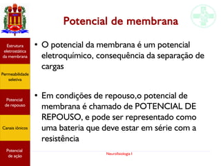 Neurofisiologia I
Potencial de membrana
● O potencial da membrana é um potencial
eletroquímico, consequência da separação de
cargas
●
Em condições de repouso,o potencial de
membrana é chamado de POTENCIAL DE
REPOUSO, e pode ser representado como
uma bateria que deve estar em série com a
resistência
Potencial
graduado
Permeabilidade
seletiva
Estrutura
eletrostática
da membrana
Potencial
de ação
Potencial
graduado
Permeabilidade
seletiva
Estrutura
eletrostática
da membrana
Potencial
de ação
Potencial
graduado
Permeabilidade
seletiva
Estrutura
eletrostática
da membrana
Potencial
de ação
Potencial
graduado
Permeabilidade
seletiva
Estrutura
eletrostática
da membrana
Potencial
de ação
Potencial
de repouso
Canais iônicos
Permeabilidade
seletiva
Estrutura
eletrostática
da membrana
Potencial
de ação
Potencial
de repouso
Canais iônicos
 