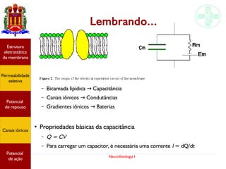 Neurofisiologia I
Lembrando...
– Bicamada lipídica Capacitância→
– Canais iônicos Condutâncias→
– Gradientes iônicos Baterias→
●
Propriedades básicas da capacitância
– Q = CV
– Para carregar um capacitor, é necessária uma corrente I = dQ/dt
Potencial
graduado
Permeabilidade
seletiva
Estrutura
eletrostática
da membrana
Potencial
de ação
Potencial
graduado
Permeabilidade
seletiva
Estrutura
eletrostática
da membrana
Potencial
de ação
Potencial
graduado
Permeabilidade
seletiva
Estrutura
eletrostática
da membrana
Potencial
de ação
Potencial
graduado
Permeabilidade
seletiva
Estrutura
eletrostática
da membrana
Potencial
de ação
Potencial
de repouso
Canais iônicos
Permeabilidade
seletiva
Estrutura
eletrostática
da membrana
Potencial
de ação
Potencial
de repouso
Canais iônicos
 