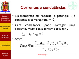 Neurofisiologia I
Correntes e condutâncias
● Na membrana em repouso, o potencial V é
constante e corrente total = 0
● Cada condutância pode carregar uma
corrente, mesmo se a corrente total for 0
INa + IK + ICl = 0
● Assim,
Potencial
graduado
Permeabilidade
seletiva
Estrutura
eletrostática
da membrana
Potencial
de ação
V=Δ Ψ=
ENa⋅gNa +EK⋅gK+ECl⋅gCl
gNa+gK+gCl
Potencial
graduado
Permeabilidade
seletiva
Estrutura
eletrostática
da membrana
Potencial
de ação
Potencial
graduado
Permeabilidade
seletiva
Estrutura
eletrostática
da membrana
Potencial
de ação
Potencial
graduado
Permeabilidade
seletiva
Estrutura
eletrostática
da membrana
Potencial
de ação
Potencial
de repouso
Canais iônicos
Permeabilidade
seletiva
Estrutura
eletrostática
da membrana
Potencial
de ação
Potencial
de repouso
Canais iônicos
 