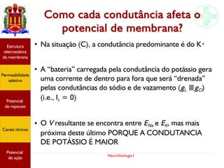 Neurofisiologia I
Como cada condutância afeta o
potencial de membrana?
●
Na situação (C), a condutância predominante é do K+
●
A “bateria” carregada pela condutância do potássio gera
uma corrente de dentro para fora que será “drenada”
pelas condutâncias do sódio e de vazamento (gL ≣gCl)
(i.e., Ic = 0)
● O V resultante se encontra entre ENa e EK, mas mais
próxima deste último PORQUE A CONDUTANCIA
DE POTÁSSIO É MAIOR
Potencial
graduado
Permeabilidade
seletiva
Estrutura
eletrostática
da membrana
Potencial
de ação
Potencial
graduado
Permeabilidade
seletiva
Estrutura
eletrostática
da membrana
Potencial
de ação
Potencial
graduado
Permeabilidade
seletiva
Estrutura
eletrostática
da membrana
Potencial
de ação
Potencial
graduado
Permeabilidade
seletiva
Estrutura
eletrostática
da membrana
Potencial
de ação
Potencial
de repouso
Canais iônicos
Permeabilidade
seletiva
Estrutura
eletrostática
da membrana
Potencial
de ação
Potencial
de repouso
Canais iônicos
 