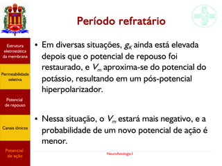 Neurofisiologia I
Período refratário
● Em diversas situações, gK ainda está elevada
depois que o potencial de repouso foi
restaurado, e Vm aproxima-se do potencial do
potássio, resultando em um pós-potencial
hiperpolarizador.
● Nessa situação, o Vm estará mais negativo, e a
probabilidade de um novo potencial de ação é
menor.
Permeabilidade
seletiva
Estrutura
eletrostática
da membrana
Potencial
de ação
Potencial
de repouso
Canais iônicos
 