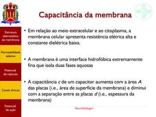Neurofisiologia I
Capacitância da membrana
● Em relação ao meio extracelular e ao citoplasma, a
membrana celular apresenta resistência elétrica alta e
constante dielétrica baixa.
● A membrana é uma interface hidrofóbica extremamente
fina que isola duas fases aquosas
● A capacitância c de um capacitor aumenta com a área A
das placas (i.e., área de superfície da membrana) e diminui
com a separação entre as placas d (i.e., espessura da
membrana)
Potencial
graduado
Permeabilidade
seletiva
Estrutura
eletrostática
da membrana
Potencial
de ação
Potencial
graduado
Permeabilidade
seletiva
Estrutura
eletrostática
da membrana
Potencial
de ação
Potencial
de repouso
Canais iônicos
Permeabilidade
seletiva
Estrutura
eletrostática
da membrana
Potencial
de ação
Potencial
de repouso
Canais iônicos
 