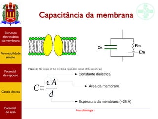 Neurofisiologia I
Capacitância da membrana
Potencial
graduado
Permeabilidade
seletiva
Estrutura
eletrostática
da membrana
Potencial
de ação
C=
ϵ A
d
Constante dielétrica
Espessura da membrana (≈25 Å)
Área da membrana
Potencial
graduado
Permeabilidade
seletiva
Estrutura
eletrostática
da membrana
Potencial
de ação
Potencial
de repouso
Canais iônicos
Permeabilidade
seletiva
Estrutura
eletrostática
da membrana
Potencial
de ação
Potencial
de repouso
Canais iônicos
 