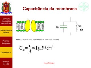 Neurofisiologia I
Capacitância da membrana
Potencial
graduado
Permeabilidade
seletiva
Estrutura
eletrostática
da membrana
Potencial
de ação
Cm= ϵ
d
≈1μF/cm
2
Potencial
graduado
Permeabilidade
seletiva
Estrutura
eletrostática
da membrana
Potencial
de ação
Potencial
de repouso
Canais iônicos
Permeabilidade
seletiva
Estrutura
eletrostática
da membrana
Potencial
de ação
Potencial
de repouso
Canais iônicos
 