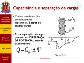 Neurofisiologia I
Capacitância e separação de cargas
●
Como a membrana têm
propriedades de
capacitância, é capaz de
separar cargas
●
Esssa separação de cargas
produz uma DIFERENÇA
DE POTENCIAL através
da membranaPotencial
graduado
Permeabilidade
seletiva
Estrutura
eletrostática
da membrana
Potencial
de ação
Glazer, 1999
Q=Cm⋅Δ ΨPotencial
graduado
Permeabilidade
seletiva
Estrutura
eletrostática
da membrana
Potencial
de ação
Potencial
de repouso
Canais iônicos
Permeabilidade
seletiva
Estrutura
eletrostática
da membrana
Potencial
de ação
Potencial
de repouso
Canais iônicos
 