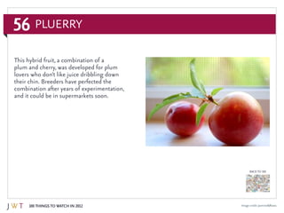 56
100 Things to Watch in 2012
BACK TO 100
Image credit: Jasmine&Roses
Pluerry
This hybrid fruit, a combination of a
plum and cherry, was developed for plum
lovers who don’t like juice dribbling down
their chin. Breeders have perfected the
combination after years of experimentation,
and it could be in supermarkets soon.
 