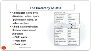 FJWU Lecture 10- Database Management.pptx
