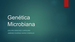 Genética
Microbiana
GALVÁN SÁNCHEZ CAROLINA
JIMÉNEZ DUEÑAS MARIO ENRIQUE
 