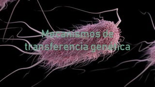 Mecanismos de
transferencia genética
 