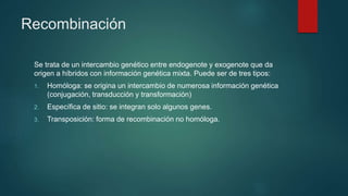 Recombinación
Se trata de un intercambio genético entre endogenote y exogenote que da
origen a híbridos con información genética mixta. Puede ser de tres tipos:
1. Homóloga: se origina un intercambio de numerosa información genética
(conjugación, transducción y transformación)
2. Específica de sitio: se integran solo algunos genes.
3. Transposición: forma de recombinación no homóloga.
 
