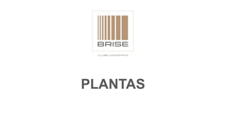 PLANTAS
 