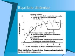 Equilibrio dinámico
 