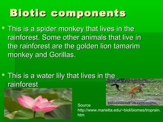 Biotic componentsBiotic components
 This is a spider monkey that lives in theThis is a spider monkey that lives in the
rainforest. Some other animals that live inrainforest. Some other animals that live in
the rainforest are the golden lion tamarimthe rainforest are the golden lion tamarim
monkey and Gorillas.monkey and Gorillas.
 This is a water lily that lives in theThis is a water lily that lives in the
rainforestrainforest
Source
http://www.marietta.edu/~biol/biomes/troprain.
htm
 