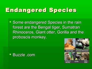 Endangered SpeciesEndangered Species
 Some endangered Species in the rainSome endangered Species in the rain
forest are the Bengal tiger, Sumatranforest are the Bengal tiger, Sumatran
Rhinoceros, Giant otter, Gorilla and theRhinoceros, Giant otter, Gorilla and the
proboscis monkey.proboscis monkey.
 Buzzle .comBuzzle .com
 