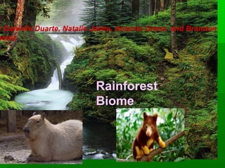 y Danielle Duarte, Natalie Jaime, Antonio Urena and Brandon
uarez
Rainforest
Biome
 