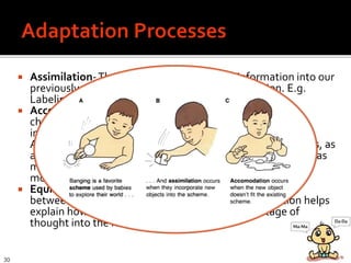  Assimilation-The process of taking in new information into our
previously existing schemas is known as assimilation. E.g.
Labeling animals.
 Accommodation- Another part of adaptation involves
changing or altering our existing schemas in light of new
information, a process known as accommodation.
Accommodation involves altering existing schemas, or ideas, as
a result of new information or new experiences. New schemas
may also be developed during this process. E.g. adding or
modifying a label.
 Equilibration – the mechanism to achieve the balance
between assimilation and accommodation. Equilibration helps
explain how children are able to move from one stage of
thought into the next.
30
 