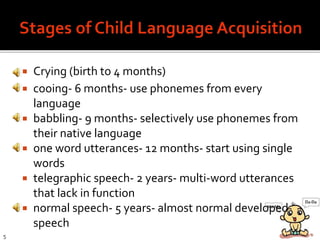  Crying (birth to 4 months)
 cooing- 6 months- use phonemes from every
language
 babbling- 9 months- selectively use phonemes from
their native language
 one word utterances- 12 months- start using single
words
 telegraphic speech- 2 years- multi-word utterances
that lack in function
 normal speech- 5 years- almost normal developed
speech
5
 