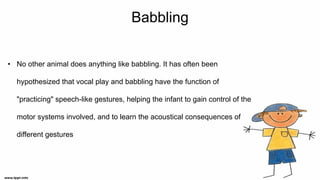 Babbling
• No other animal does anything like babbling. It has often been
hypothesized that vocal play and babbling have the function of
"practicing" speech-like gestures, helping the infant to gain control of the
motor systems involved, and to learn the acoustical consequences of
different gestures
 