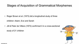 Stages of Acquisition of Grammatical Morphemes
• Roger Brown et al. (1973) did a longitudinal study of three
children: Adam, Eve and Sarah
• Jill & Peter de Villiers (1973) confirmed it in a cross-sectional
study of 21 children
 
