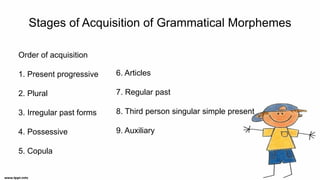 Stages of Acquisition of Grammatical Morphemes
Order of acquisition
1. Present progressive
2. Plural
3. Irregular past forms
4. Possessive
5. Copula
6. Articles
7. Regular past
8. Third person singular simple present
9. Auxiliary
 