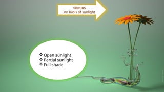 Shrubs
on basis of sunlight
 Open sunlight
 Partial sunlight
 Full shade
 