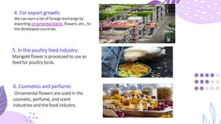 4. For export growth:
We can earn a lot of foreign exchange by
exporting ornamental plants, flowers, etc., to
the develope...