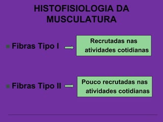 HISTOFISIOLOGIA DA
MUSCULATURA
 Fibras Tipo I
 Fibras Tipo II
Recrutadas nas
atividades cotidianas
Pouco recrutadas nas
atividades cotidianas
 