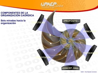 COMPONENTES DE LA ORGANIZACIÓN CAÓRDICA Seis miradas hacia la organizacíón P ARTICIPANTES C ONSTITUCIÓN CONCEP. O RG .  PRINCIPIOS PRÁCTICAS PROPÓSITO ©2001, The Chaordic Commons 