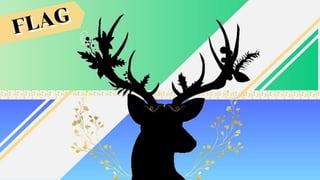 Flag