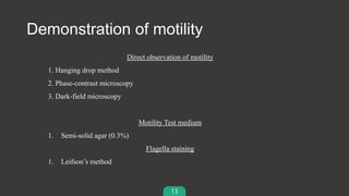 13
Demonstration of motility
Direct observation of motility
1. Hanging drop method
2. Phase-contrast microscopy
3. Dark-field microscopy
Motility Test medium
1. Semi-solid agar (0.3%)
Flagella staining
1. Leifson’s method
 