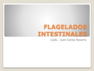 FLAGELADOS
INTESTINALES
Licdo. Juan Carlos Navarro
 