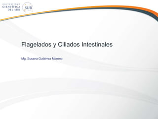 Flagelados y Ciliados Intestinales
Mg. Susana Gutiérrez Moreno
 