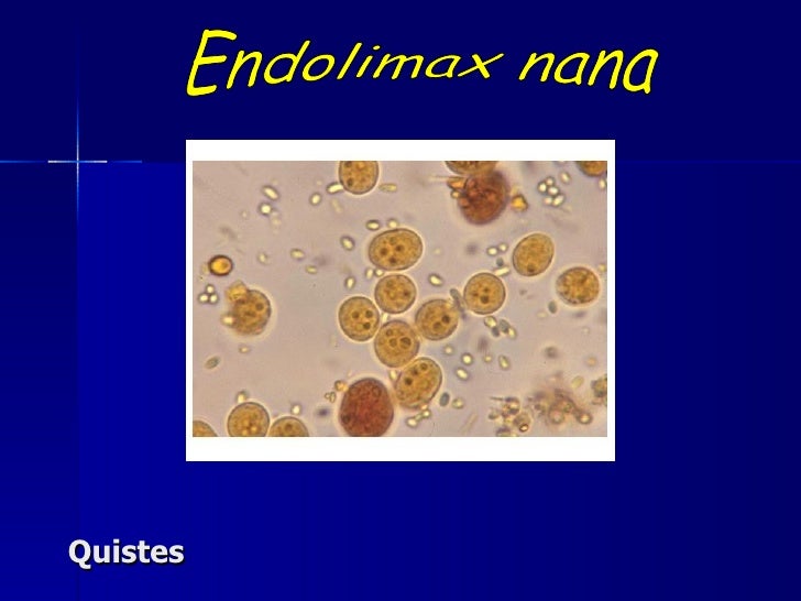 Flagelasdos, ciliados y practica 3 y 4