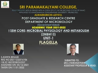 ACADEMIC YEAR 2021-2022
I SEM CORE: MICROBIAL PHYSIOLOGY AND METABOLISM
(ZMBM13)
UNIT-1
FLAGELLA
S.ASHIFA BEGAM
REG NO:20211232516106
I M.SC MICROBIOLOGY
ASSIGNED ON: 05/12/2021
TAKEN ON:11/01/2022
SUBMITTED TO,
DR.S.VISWANATHAN,
ASSISTANT PROFESSOR & HEAD.
 