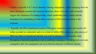 Flagella, fimbriae, pili and capsule | PPTX