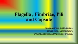 Flagella , Fimbriae, Pili
and Capsule
SUBHANANTHINI JEYAMURUGAN,
18PY17, M.SC., MICROBIOLOGY.
AYYANADAR JANAKI AMMAL COLLEGE SIVAKASI.
 