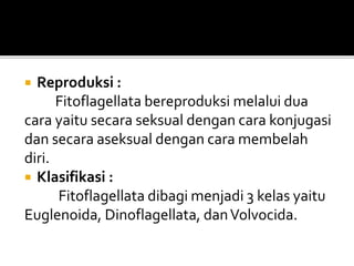  Reproduksi :
Fitoflagellata bereproduksi melalui dua
cara yaitu secara seksual dengan cara konjugasi
dan secara aseksual dengan cara membelah
diri.
 Klasifikasi :
Fitoflagellata dibagi menjadi 3 kelas yaitu
Euglenoida, Dinoflagellata, danVolvocida.
 