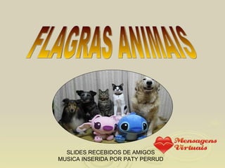 FLAGRAS ANIMAIS SLIDES RECEBIDOS DE AMIGOS MUSICA INSERIDA POR PATY PERRUD 