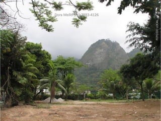 Dora Mello (21) 7883-4126
 